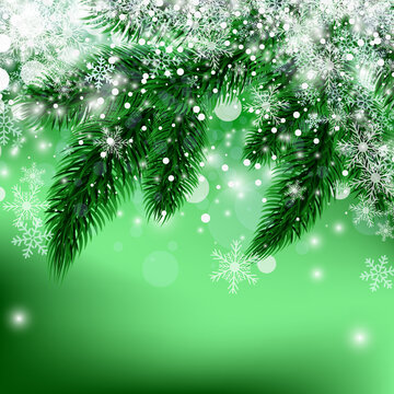 Vector beautiful christmas blue background concept design of white snowflake and green fir branch with copy space