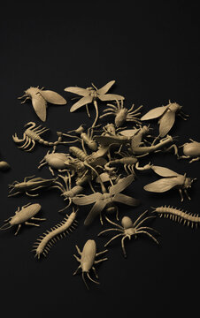 Insectorium/collection of bugs/insects.