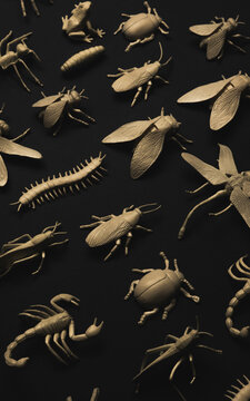 Insectorium/collection of bugs/insects.