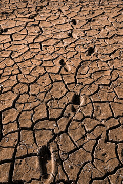 Dry mud