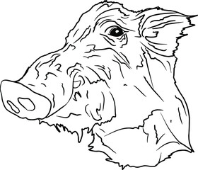 Vector illustration of a wild boar isolated on a white background. Forest animal for printing on packaging, menu, clothes, logo, blank for designers, element