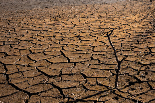 Dry mud