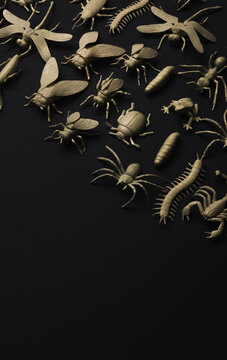 Insectorium/collection of bugs/insects.