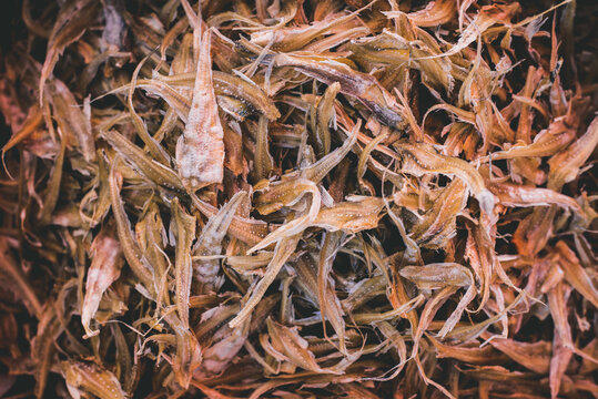 Dried fish