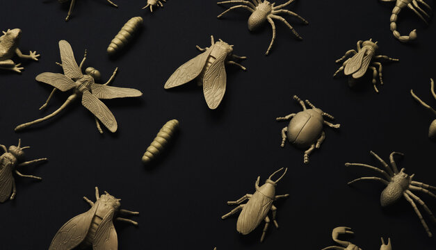 Insectorium/collection of bugs/insects.