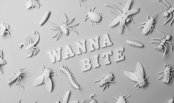 Insectorium/collection of bugs/insects with text ""Wanna bite?""