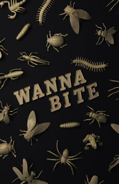 Insectorium/collection of bugs/insects with text ""Wanna bite?""