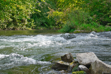 Naturschutgebiet Taubergießen in der Ortenau im Frühherbst