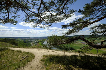 Naturschutzgebiet Grainberg-Kalbenstein bei Karlstadt, Landkreis Main-Spessart, Unterfranken, Bayern, Deutschland