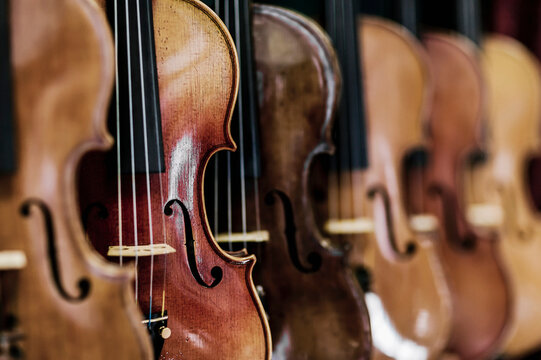 Violins on Display