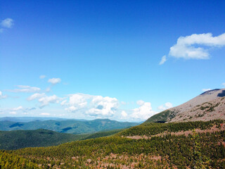 Autumn, autumn forest, lake, water, ducks, yellow red leaves, mushrooms, berries, cones, birches
