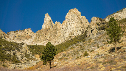 Fototapeta na wymiar scenery near and around tioga pass in sierra mountains