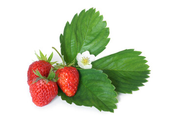 Fresh strawberries with leaves