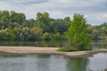 Rhein in Taubergießen in der Ortenau im Frühherbst