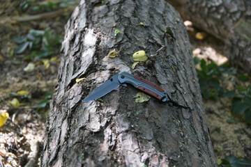 Knife in forest 