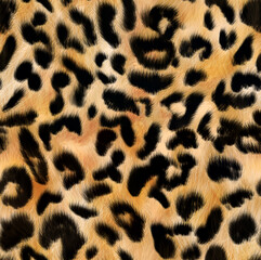 Seamless leopard texture, leopard fur, african animal print © Wagner