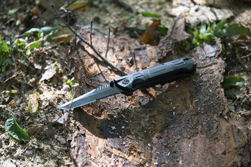 Knife in forest 