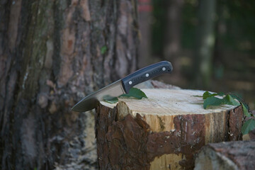 Knife in forest 