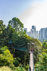Fototapeten Kuala Lumpur, forest eco park © John Hofboer