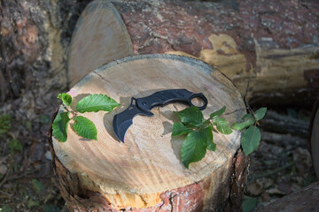 Knife in forest 