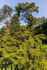 Kuala Lumpur, forest eco park