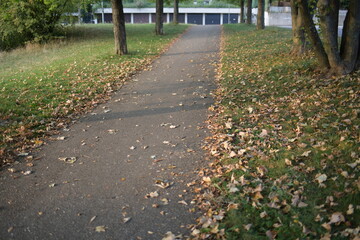 getrocknete Baumblätter fallen im Herbst auf den Boden