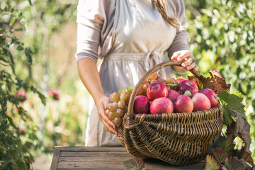 Woman with basket full of ripe apples in a garden. Apple harvest. Autumn concept