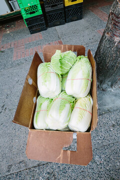 Chinese cabbage in Chinatown