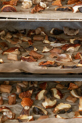 Abstract background of boletus (boletus edulis) mushrooms pieces drying in the oven