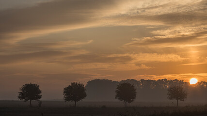 Autumn morning in Sweden Skåne