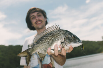 Southern Black Bream before Release