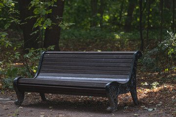 UNOCCUPIED BENCH IN AUTUMN PARK