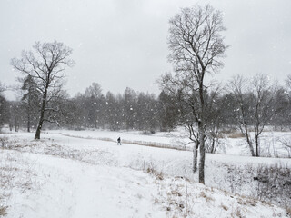 Fototapeta premium Winter park. Beautiful snow landscape with the figure of a man walking in the Park