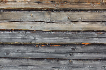 Wood plank texture. Old shabby boards. Scratched wooden wall