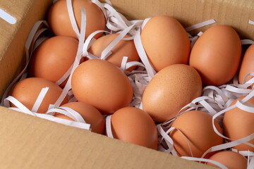 Fresh eggs in the carton