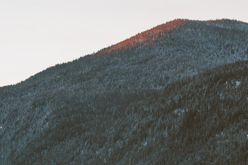 Pink sunlight illumnating a forested mountain peak.