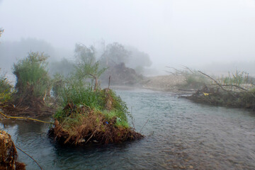 Naklejka premium river in the fog