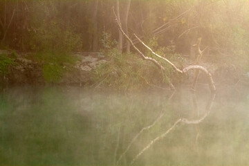 mist over the river