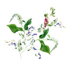 Summer Little Wild Flowers  Bouquet, Colorful Floral Background, Realistic Botanical Illustration