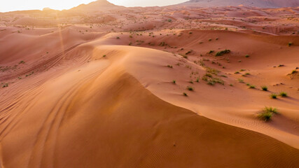 Meliha Desert Sand Dunes and Fossil Rocks

