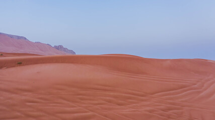 Fototapeta na wymiar Meliha Desert Sand Dunes and Fossil Rocks 