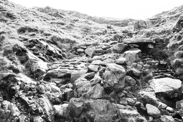 Gray rocks and stream