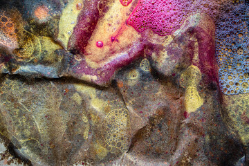 Abstract texture of real wet colorful paint