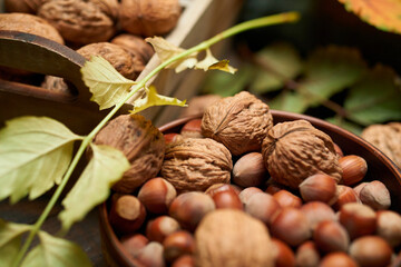 autumn still life in rustic style as a background - leaves, vegetables and fruits, nuts and other natural food ingredients on wooden boards