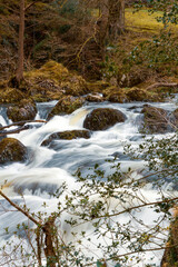 Swallow Falls bear Betws y Coed in North Wales in spring - obrazy, fototapety, plakaty