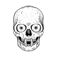 Skull hand drawn illustration. Tattoo vintage print. Skull sketch. Vector print. Skull with eyes sketch.