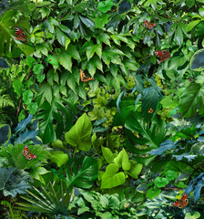 Plants background. Perfect quality, details include various plant leaves and insects.
