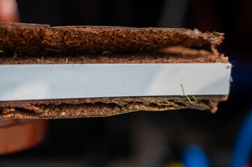 Selective focus on edge of water damaged swelled laminated plywood