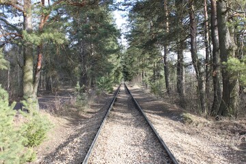 railway in the forest