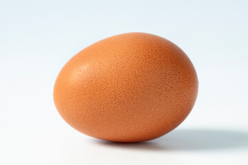 Single egg on white background